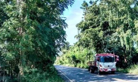 ขายที่ดิน - ที่ดินอนาคตดี ติดถนนสายหลัก อ.ทองแสนขัน อุตรดิตถ์