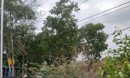 ขายที่ดิน - ขายที่ดิน 50 ตารางวา ใกล้โลตัส รังสิต คลอง7 ติดถนนคอนกรีต รังสิต-นครนายก ค.8 ชุมชนสุสวาส 2 ธัญบุรี ปทุมธานี