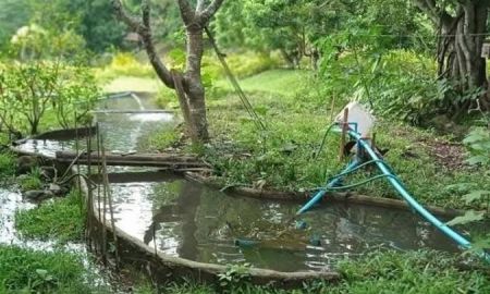 ขายบ้าน - ขายรีสอทร์ติดน้ำธารน้ำบ้านปงหางดงห่างถนนหลัก 500เมตร