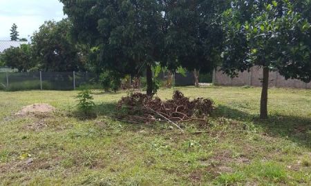 ขายที่ดิน - ขายที่ดินตำบลน้ำแพร่หางดงแบ่งขายหลายแปลงติดถนนโฉนดพร้อมโอน