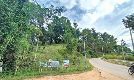 ขายที่ดิน - ขายที่บนเนินดอยโป่งแยงแม่ริมติดถนนคอนกรีตโฉนดพร้อม