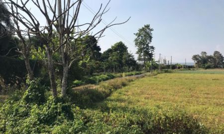 ขายที่ดิน - ขายที่ดินเปล่า 26-3-8 ไร่ (ต.อินทขิล อ.แม่แตง จ.เชียงใหม่)