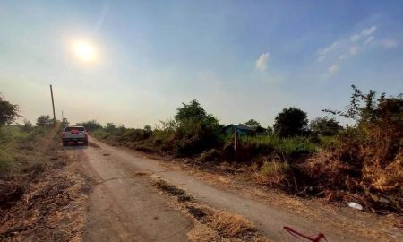 ขายที่ดิน - ขายด่วนที่ดิน 100 ตารางวา - ดี ติดถนนคอนกรีต 2 คลอง 12 หนองเสือ ปทุมธานี