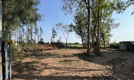 ขายที่ดิน - ขายที่ดินเปล่า 150 ตรว.ถมแล้ว ถ.วิบูลย์สาธุกิจ แขวงลำต้อยติ่ง เขตหนองจอก กรุงเทพฯ ราคา 750,000 บาท