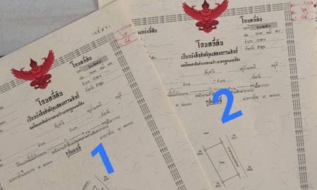 ขายที่ดิน - ขายบ่อปลาสวนผสมแปลงเล็ก ใกล้ปิงโค้ง ต.น้ำดิบ อ.ป่าซาง จ.ลำพูน