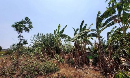 ขายที่ดิน - ขายที่ดินใกล้วัดหนองตาเนิด 200 ตารางวา ติดถนนลาดยางสาธารณะ ต.ปากช่อง อ.จอมบึง จ.ราชบุรี