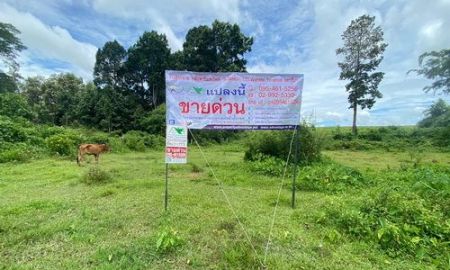 ขายที่ดิน - ขายที่ดิน 3-1-59 ไร่ เชียงราย ทำเลดี ติดถนนลาดยาง เหมาะสร้างบ้าน & เกษตรกรรม