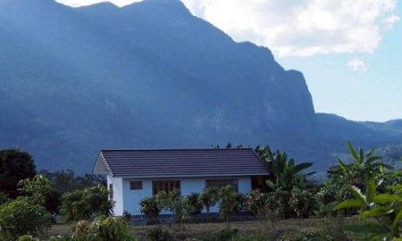 ขายที่ดิน - ขายที่ดินพร้อมบ้านพัก 7-1-99ไร่ 5.6ลบ. ฟรีโอน วิวดอยหลวงสวยงาม ต.เมืองงาย อ.เชียงดาว เชียงใหม่