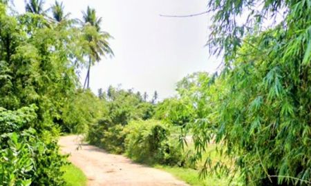 ขายที่ดิน - ที่ดินอยู่อาศัย ใกล้ถนนสายหลัก อ.นางรอง บุรีรัมย์