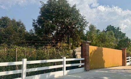 ขายที่ดิน - ขายสวนทุเรียน 11 ไร่ พร้อมบ้านสวยสไตส์รีสอร์ท วิวเขา