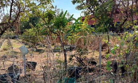 ขายที่ดิน - ขายที่ดิน6ไร่99ตรว. แปลงสวย ปทุมธานี คลองหลวง