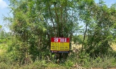 ขายที่ดิน - ขายที่ดิน 6-3-28 ไร่ ซอยองค์การบริหารส่วนจังหวัดนครนายก บางสมบูรณ์ องครักษ์