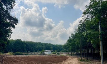 ขายที่ดิน - ขายที่ดินพร้อมสวนทุเรียน-ยางซอยวัดกองดิน 19 ไร่ ใกล้ถนนสุขุมวิท3-1.7กม. อ.แกลง จ.ระยอง