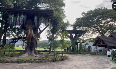 ขายอพาร์ทเม้นท์ / โรงแรม - ขายบูติกโฮเทล เรสเทอรองร้านอาหารหรือปรับบ้านสวยส่วนตัว Special sale Hotel Chiangmai