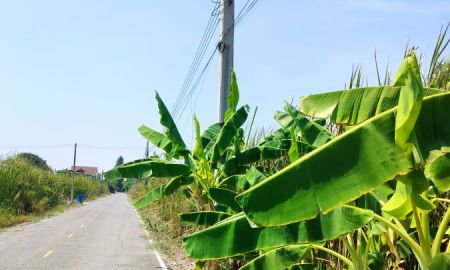 ขายที่ดิน - ที่ดิน 142 ตรว. แปลงมุม เหมาะสร้างบ้าน ออฟฟิศ ใกล้ถนนนครอินทร์ตัดใหม่ ที่ดินยังไม่ถม