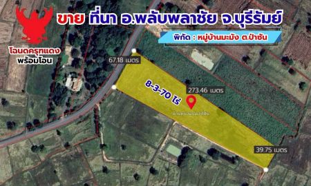 ขายที่ดิน - ขายด่วน ที่ดินที่นา 8 ไร่ 3 งาน 70 ตรว. ติดถนนลาดยาง โฉนดครุฑเเดงพร้อมโอน