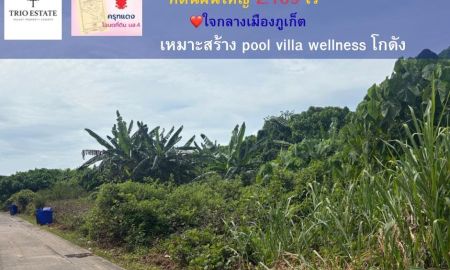 ขายที่ดิน - ที่ดินสวย 2 ไร่กว่า อำเภอวิชิต เมืองภูเก็ต