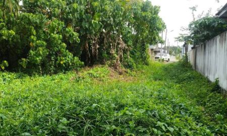 ขายที่ดิน - ที่ดินทำเลดี ซื้อวันนี้ อนาคตเพิ่มมูลค่า ที่ดินสุราษฎร์ธานี