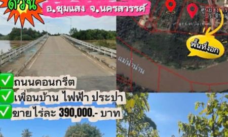 ขายที่ดิน - ขายถูกมาก!! ที่ดินติดริมแม่น้ำน่าน 6-3-9 ไร่ +ที่ดินงอกริมแม่น้ำประมาณ 3-5 ไร่ ทำเลดี อ.ชุมแสง จ.นครสวรรค์