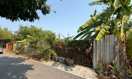 ขายที่ดิน - ขาย ที่ดินเปล่า กั้นรั้วและถมแล้ว ในซอยวัดลาดปลาดุก นนทบุรี