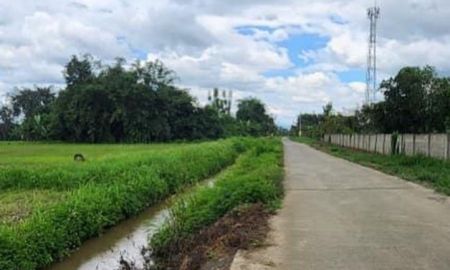 ขายที่ดิน - ขายที่นา 3-1-17 ไร่ ต.ขี้เหล็ก อ.แม่ริม จ.เชียงใหม่