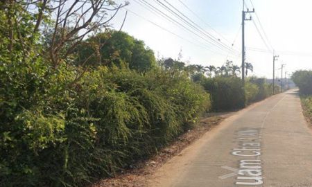 ขายที่ดิน - ขายที่ดินสนามบินเกาะจันทร์ ท่าบุญมี 35 ไร่ ซอยร่วมใจ1 ใกล้แยกเกาะโพธิ์6กม. จ.ชลบุรี