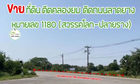 ขายที่ดิน - ที่ดินติดถนนลาดยาง(สายหลัก) ทำเลดี โฉนดพร้อมโอน