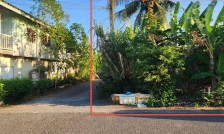 ขายที่ดิน - โฉนดครุฑแดง ทำเลตลาด อ.เมือง สุราษฎร์ธานี