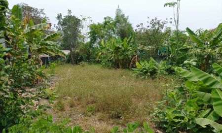 ขายที่ดิน - ขายที่ดิน 113ตร.ว. ต.สง่าบ้าน อ.ดอยสะเก็ด จ.เชียงใหม่