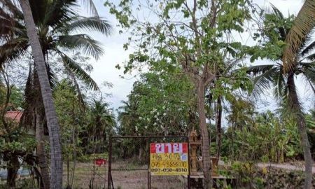 ขายที่ดิน - ขายที่ดินสวนมะพร้าว 3-0-17 ไร่ พร้อมสิ่งปลูกสร้าง คุ้งน้ำวน เมืองราชบุรี วิวธรรมชาติ บรรยากาศเงียบสงบ