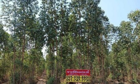 ขายที่ดิน - ขายที่ดินสวนยูคาลิปตัส 20-1-34 ไร่ สวนผึ้ง ราชบุรี วิวภูเขา ติดถนนบ้านกล้วย - หนองหม้อข้าว