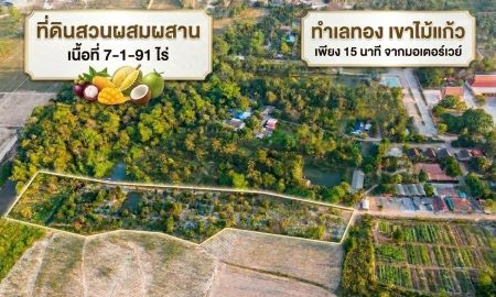 ขายที่ดิน - ขายที่ดินสวนผสม ทำเลทอง เขาไม้แก้ว จ.ชลบุรี