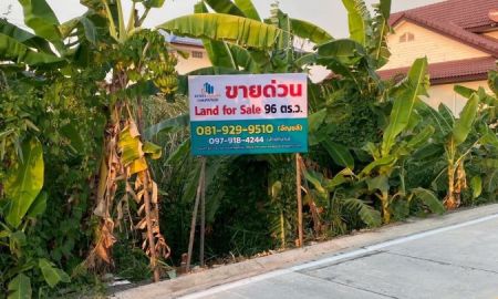 ขายที่ดิน - ขายที่ดิน 96 ตร.วา ทำเลบางบัวทอง ใกล้ ตลาดสมบัติบุรี