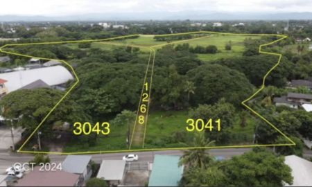 ขายที่ดิน - ที่ตั้ง: ตำบลสันกลาง อำเภอสันกำแพง จังหวัดเชียงใหม่