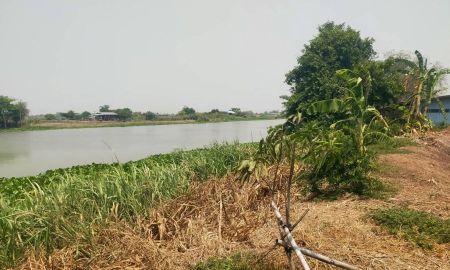 ขายที่ดิน - ขายที่ดินสวยมาก 2 ไร่ครึ่ง ติดแม่น้ำท่าจีน บางเลน นครปฐม ใก้ลตลาดบางหลวง