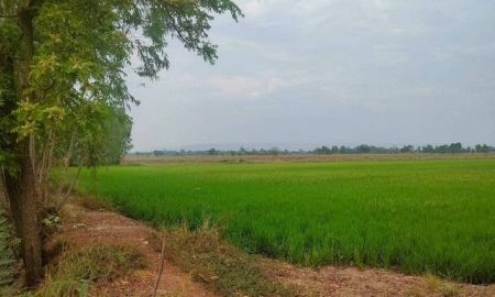 ขายที่ดิน - ขายที่ดิน 23 ไร่ 3 งาน 87.7 ตร.ว. อำเภอบางกระทุ่ม จังหวัดพิษณุโลก ราคา 10,000,000 บาท