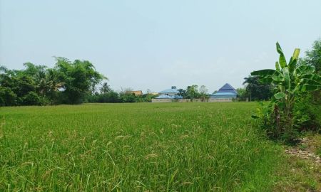 ขายที่ดิน - ขายที่ดิน 11ไร่95ตร.ว. ต.ป่าป้อง อ.ดอยสะเก็ด จ.เชียงใหม่