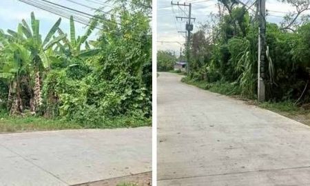 ขายที่ดิน - ขายที่ดินตำบลยางเนิ้งสารภีห่างถนนต้นยางเพียง 800เมตร