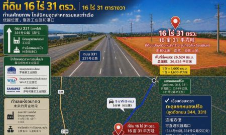 ขายที่ดิน - ขายที่ดิน คลองกิ่วชลบุรี ราคาต่ำกว่าตลาด 331 62
