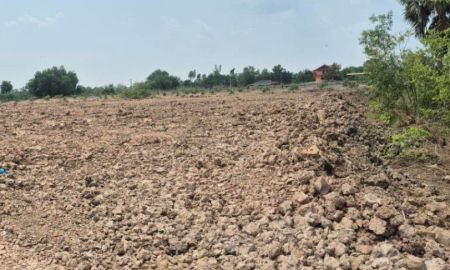 ขายที่ดิน - ขายที่ดินหัวไทร 5 ไร่ ติดถนนเส้น4023 หน้าราชภัฎศูนย์บางคล้า อ.บางคล้า จ.ฉะเชิงเทรา