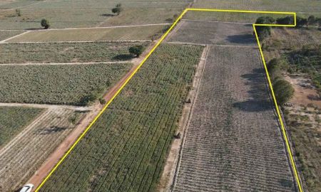 ขายที่ดิน - ขายที่ดินลาดกระทิง 11 ไร่ ติดถนนลาดยาง ใกล้ถนนเส้น3076-400เมตร อ.สนามชัยเขต ฉะเชิงเทรา