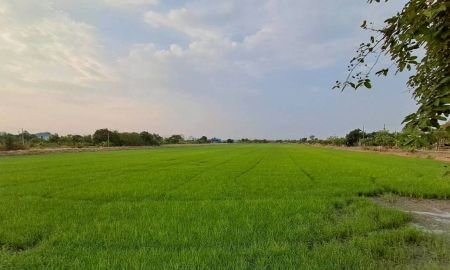 ขายที่ดิน - ขายที่ดินโฉนด มี 3 แปลง สวยมากเหมาะลงทุน
