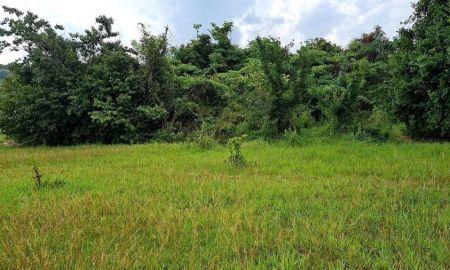 ขายที่ดิน - ขายที่ดิน 10ไร่ วิวสวย ใกล้ภูเขา แม่น้ำ ตำบล เขาเพิ่ม อำเภอ บ้านนา จังหวัดนครนายก