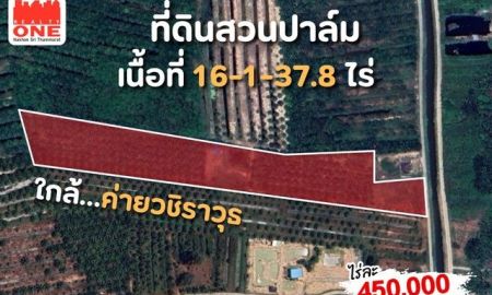 ขายที่ดิน - สวนปาล์มพร้อมผลผลิต เนื้อที่ 16-1-37.8 ไร่ ใกล้ค่ายวชิราวุธ
