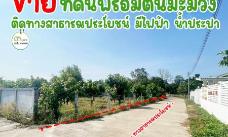 ขายที่ดิน - ที่ดินใกล้โลตัสอุตรดิตถ์ เพียง ตรว ละ4400บาท สวย ถูก คุ้ม