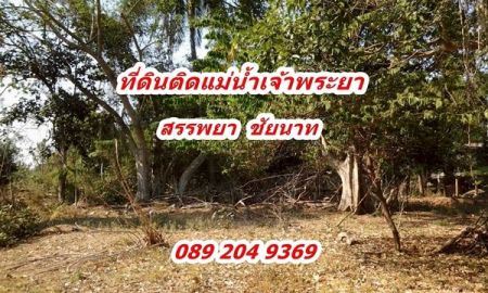 ขายที่ดิน - ขายที่ดิน ติดแม่น้ำ ราคาถูก ต.บางหลวง อ.สรรพยา จ.ชัยนาท พื้นที่ 1-3-74.8 ไร่