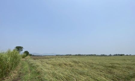 ขายที่ดิน - ขายที่นา พร้อมผู้เช่า ทำเลดี อำเภอหนองไผ่ จังหวัดเพชรบูรณ์