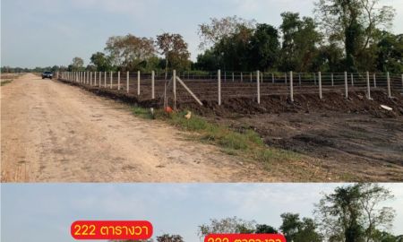 ขายที่ดิน - ขายที่ดิน อ.องครักษ์ ถนนคลองหนึ่งทรายมูล 222 ตรว 1.2 ล้าน