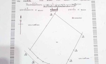 ขายที่ดิน - ขายที่ดิน ทำเลทอง อำเภอสังคม จังหวัดหนองคาย