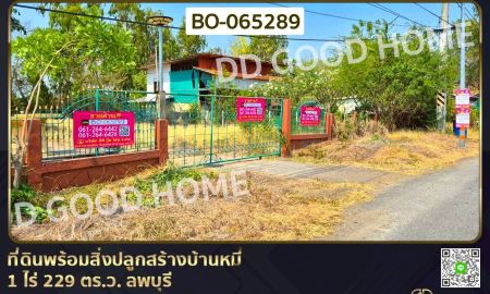 ขายที่ดิน - ที่ดินพร้อมสิ่งปลูกสร้างบ้านหมี่ 1 ไร่ 229 ตร.ว. ลพบุรี ใกล้ที่ว่าการอำเภอบ้านหมี่
